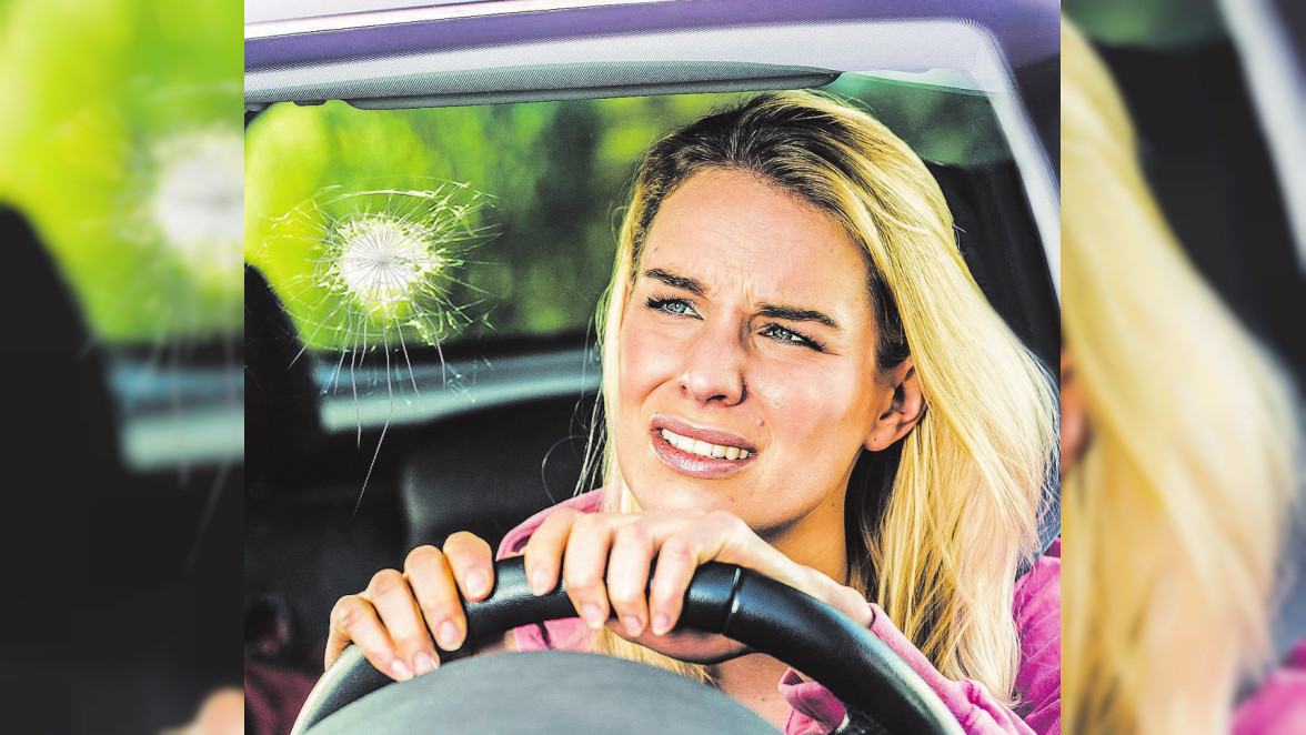 Voller Durchblick für Fahrer und Technik