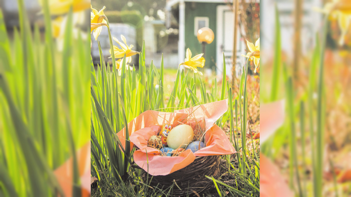 Nährstoffreich und bunt: Gesunde Alternativen fürs Osternest