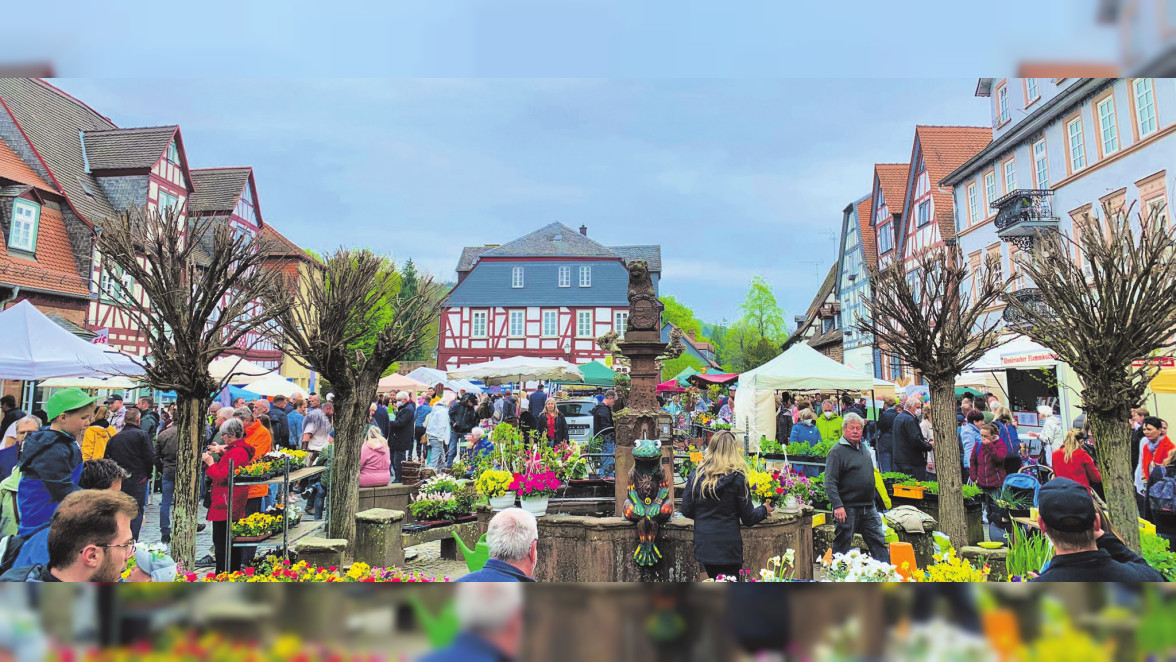 Frühlingsauftakt in Büdingen