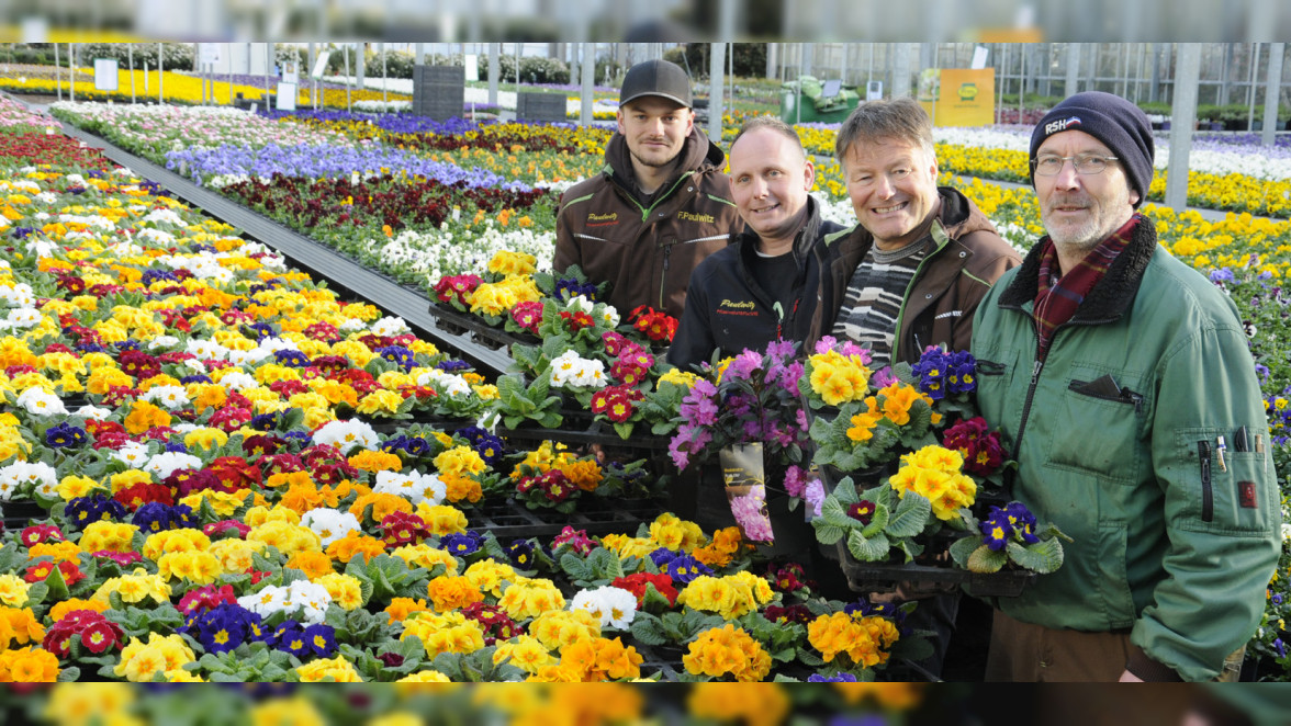 Kompetente Beratung und Qualität Breite Auswahl an Schnittblumen
