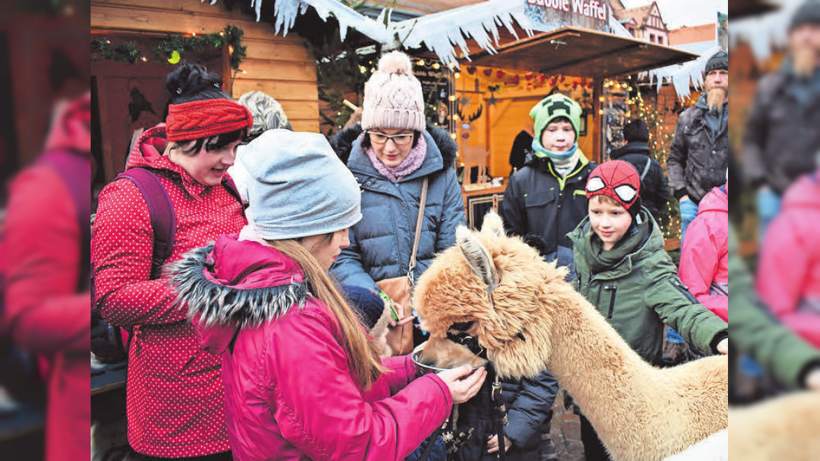 Weihnachtsmarkt in Grimma t glich von 11 19 Uhr ge ffnet