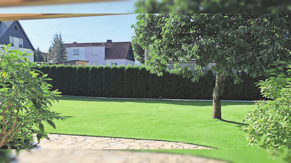 wie oft hanf düngen Green Home Hanf- & Cannabis Dünger Set