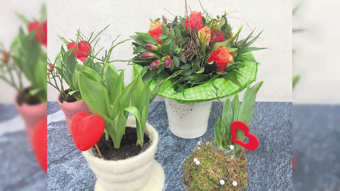 „Gärtnerei Reinike“ in Isernagen: Der Frühling grüßt mit tollen Farben