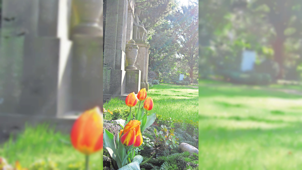 Frühling auf dem Friedhof