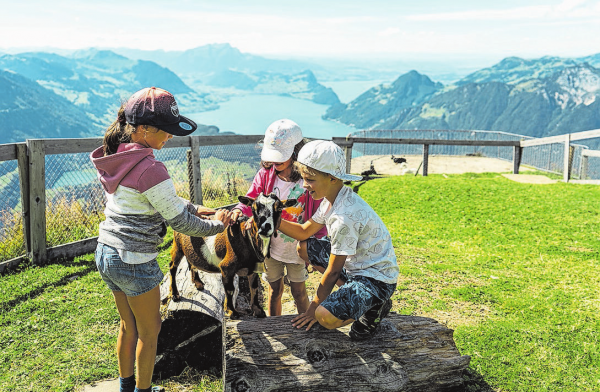 Luzern, Ob-/Nidwalden, Zug und Uri: Infos, Tipps und Sommerhits