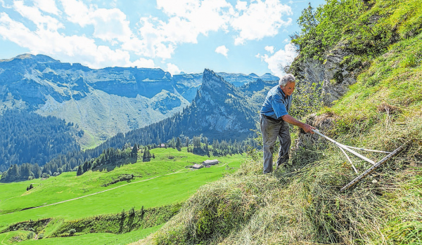 Kanton Uri: Alpsommer in Uri ist eine einmalige Erfahrung