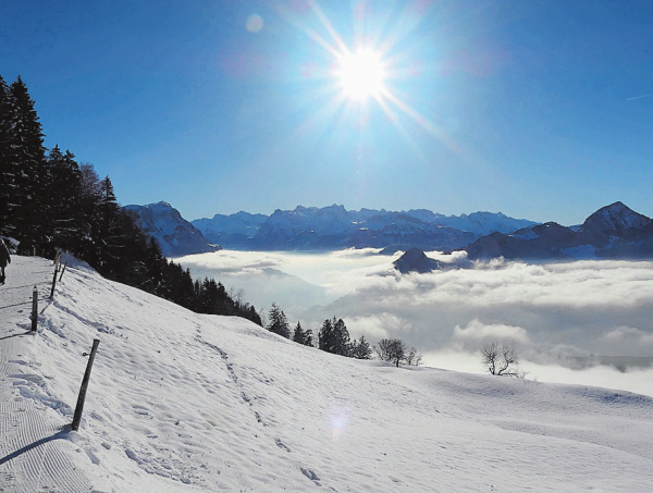 Die besten Winterausflugsziele