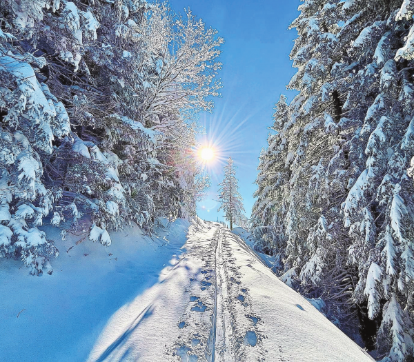 Der Familienberg voller Wintergeschichten