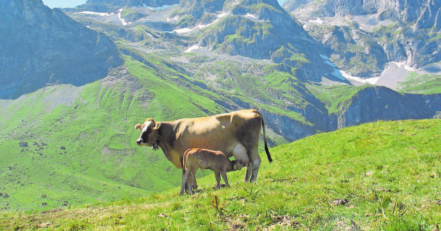 Die besten Sommerausflugsziele