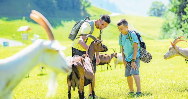 Der Sommerausflug: Spass, Spiel und ganz viel Ziege