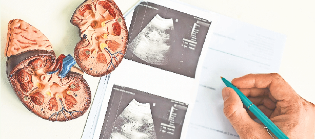 Siloah Forum September: Urologische Krebstherapie in Pforzheim