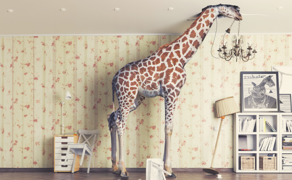 ImmobilienSparkasse – die Nr. 1 in der Region