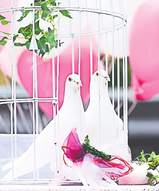 Lustig oder überholt? Hochzeitsbräuche im Check