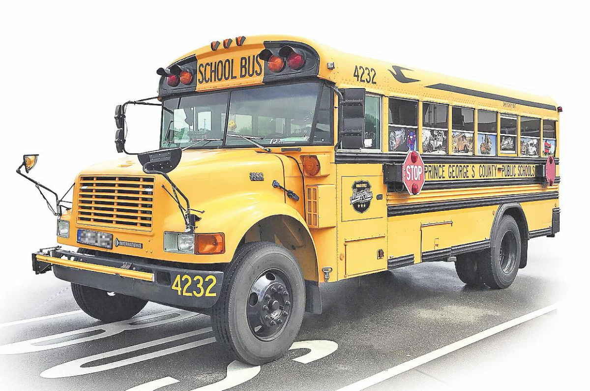 Magic Bus: Ein echter Hingucker
