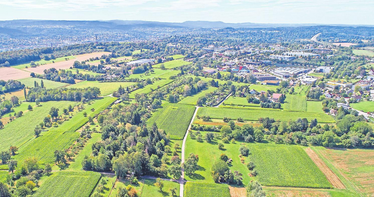 (Fast) Alles im grünen Bereich