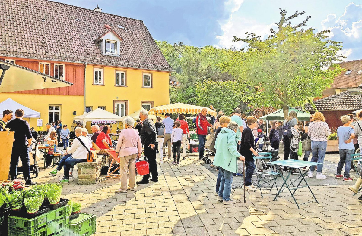 Eine Gemeinde in Hochform