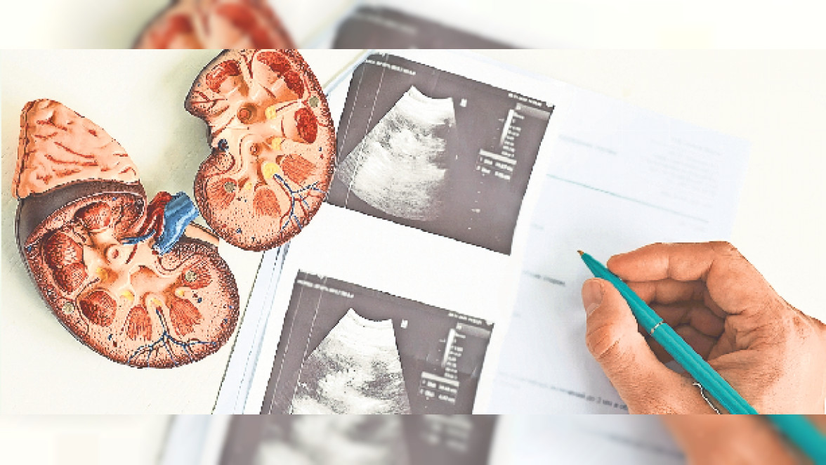 Siloah Forum September: Urologische Krebstherapie in Pforzheim