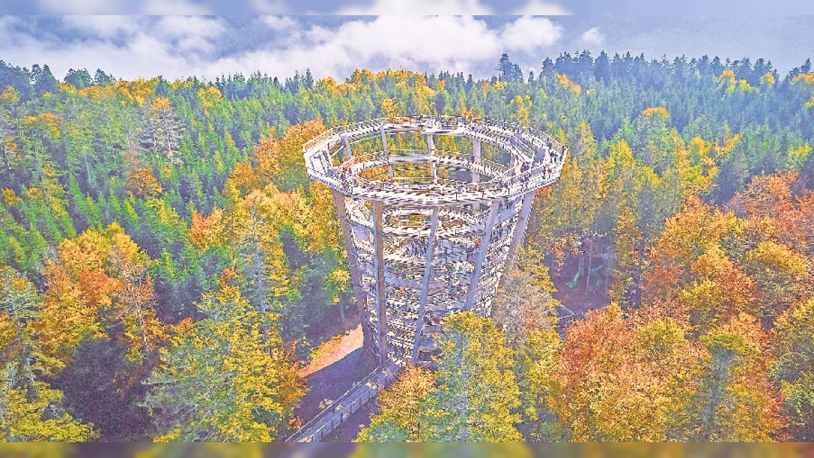  Bad Wildbad: Das ist doch der Wipfel!