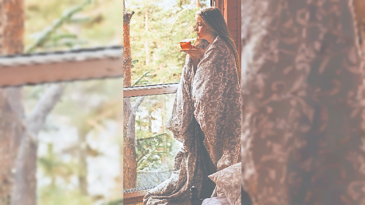 Der Traum vom Wintergarten