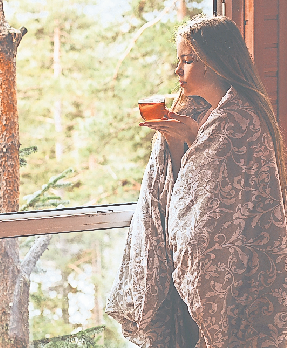 Der Traum vom Wintergarten