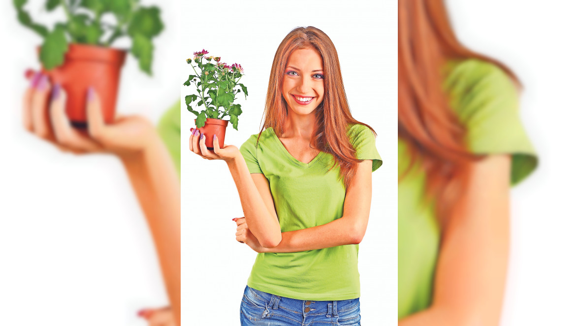 Tipps zum Frühblüher-Kauf