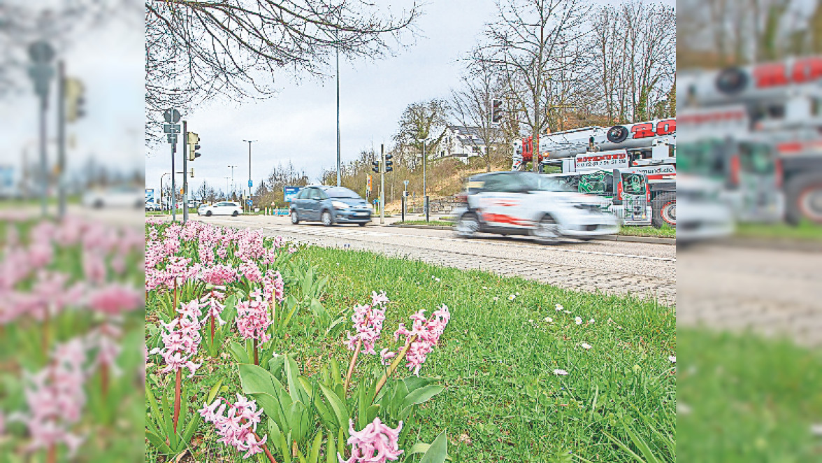 Pforzheimer Gewerbegebiete im Norden: VON A BIS Z