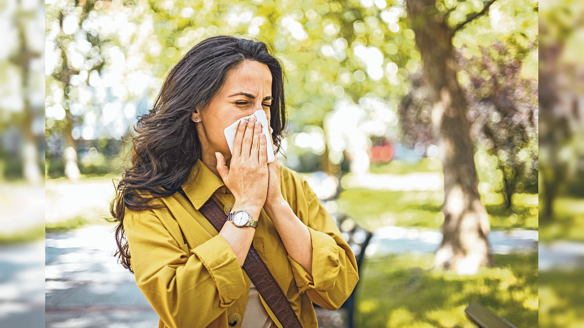 Wenn die Pollen im Anflug sind...