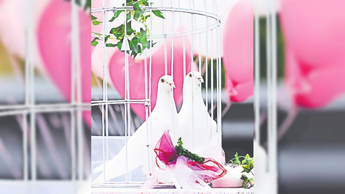 Lustig oder überholt? Hochzeitsbräuche im Check