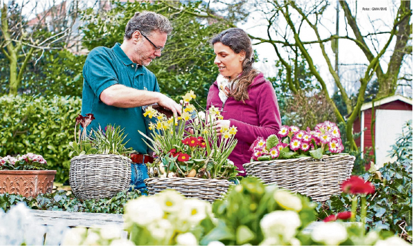 RZ-Gartenexpertin: Aufwachen!
