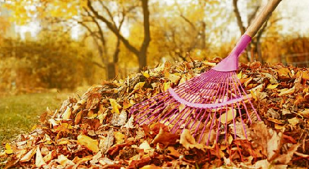 Herbst – Mehr Grün- und Bioabfälle zu entsorgen