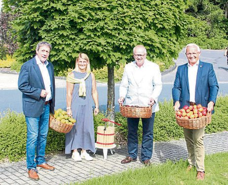 Im Herbst Streuobst sammeln