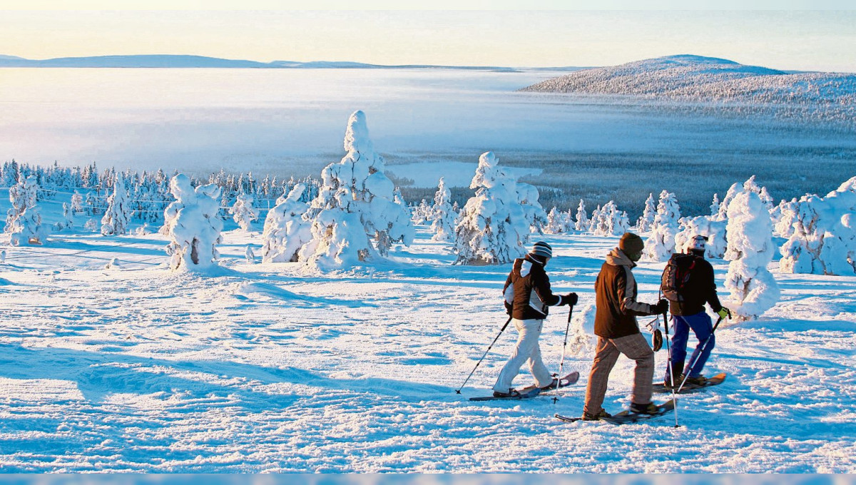 Premiumbusreise ins einmalige, winterliche Lappland