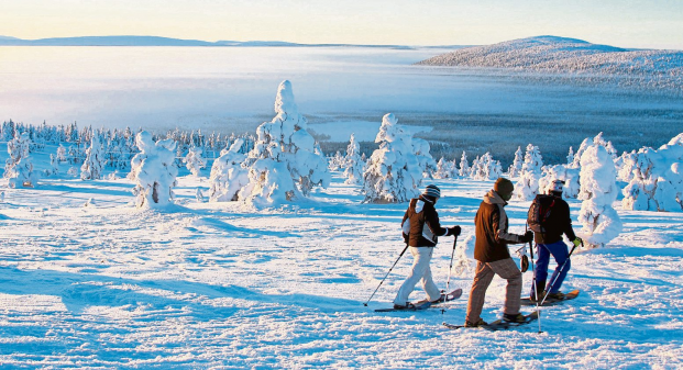 Premiumbusreise ins einmalige, winterliche Lappland