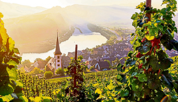 Briten wollen lieber Mosel als Europa