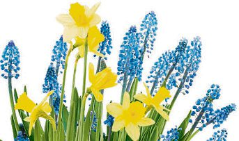 Der Frühling kommt!