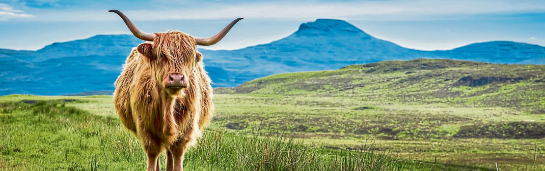 König's Reisen: Schottland - Natur und Kultur - Pur!