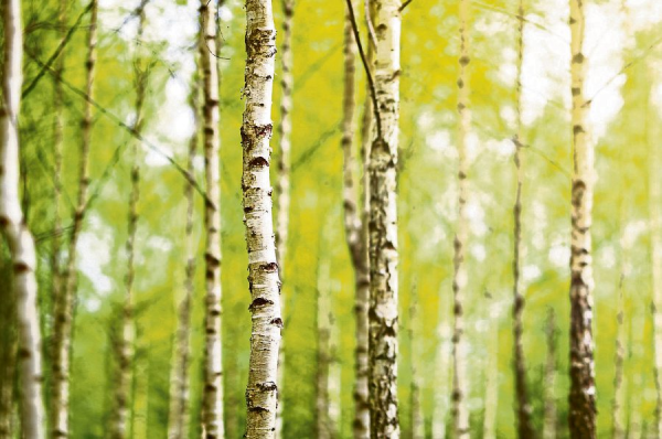 Gesund und fit in den Frühling