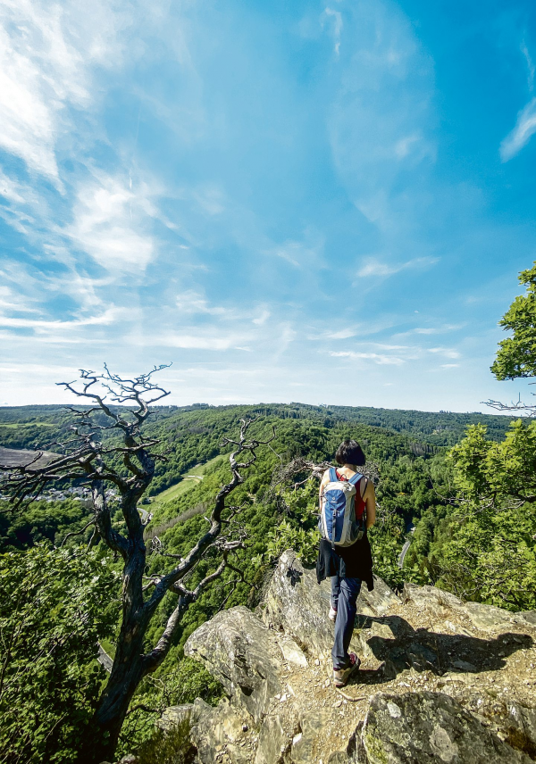 Region Lahn-Taunus: WanderREICH