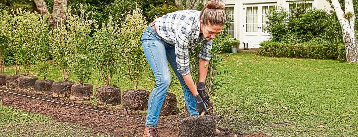 Schöne Aussichten für den grünen Gartenzaun