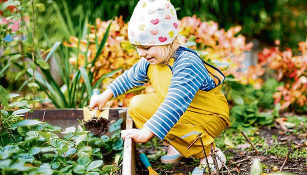 Gartenarbeit: Früh übt sich...