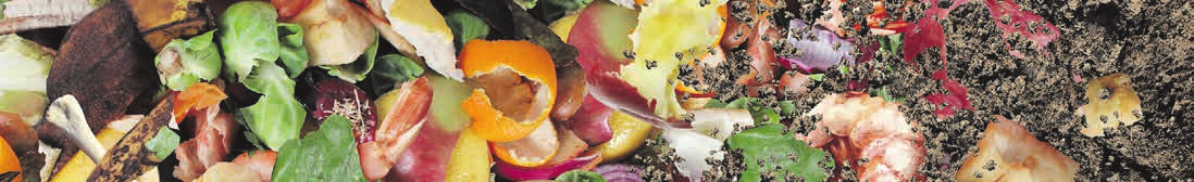 KEIN PLASTIK IN DIE BIOTONNE!