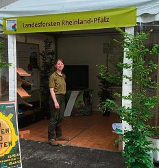 Gesunder Wald - wohltuend für den Menschen