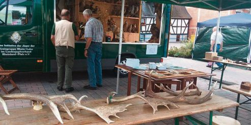 Landesjagdverband sorgt für Hege und Pflege im Sinne des Naturschutzes