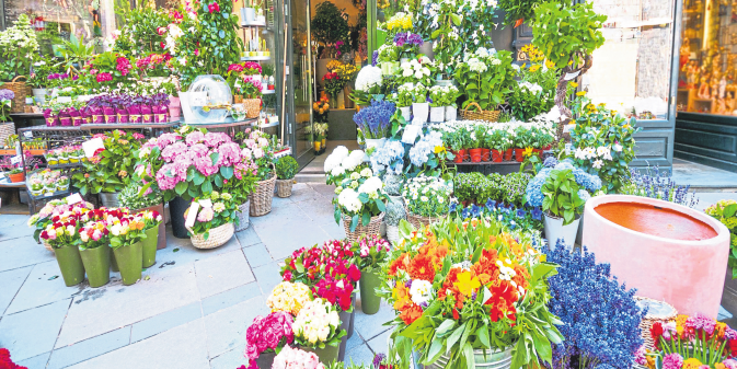 Maimarkt in Wissen lockt am 14. Mai mit buntem Angebot