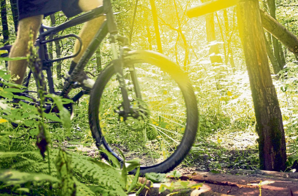 Nationalpark-Radroute wird am 9. Juli eröffnet