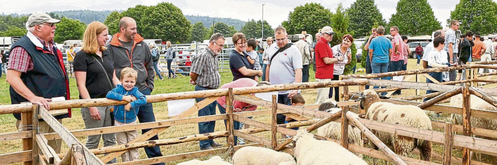Der Veitsrodter Prämienmarkt erwartet ein volles Haus