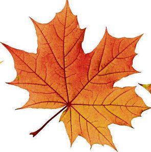 Ein Hauch von Herbst