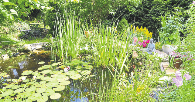 Garten- und Landschaftsbau Klaus Schäfer in Rengsdorf: Rundumservice für den Garten- und Landschaftsbau