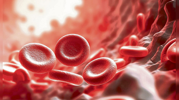 Anämie: Wenn der Körper zu wenig Blut produziert
