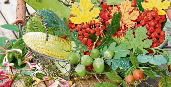 Herbstliches DIY